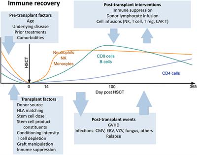 Mass Cytometry for the Assessment of Immune Reconstitution After Hematopoietic Stem Cell Transplantation